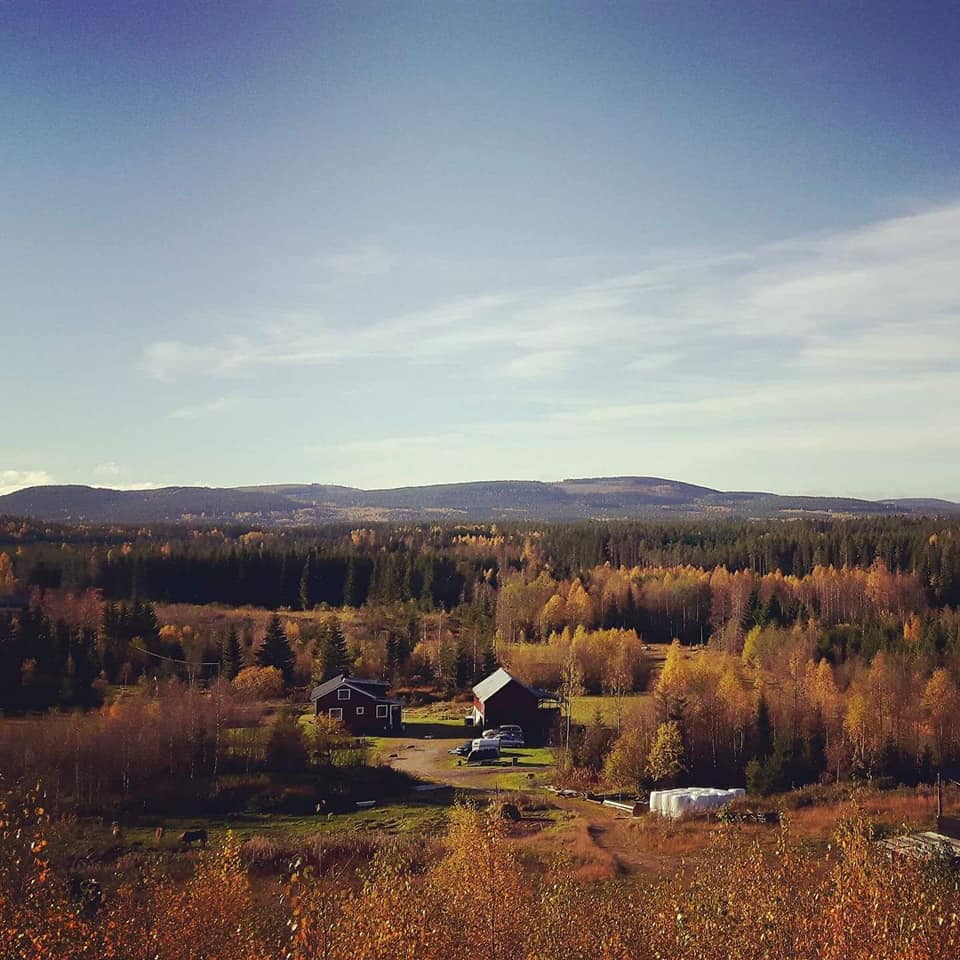 Heldag höst