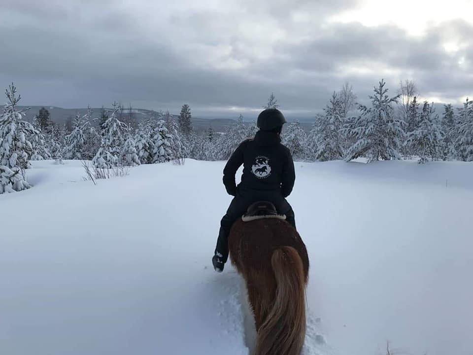 vinter hälsinge ridupplevelser